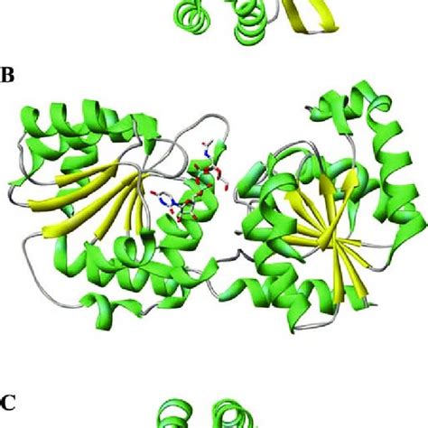 (PDF) Structures and mechanism of glycosyltransferases