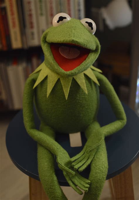 ecl's Kermit the Frog Puppet Replica (using my newest patterns) | Page ...