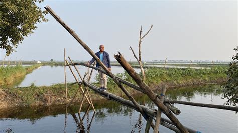 TotalFood Processing | Sustainable prawn farming