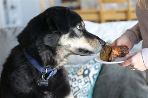 Peanut Butter Dog Bones: The Best Bones to Stuff with Peanut Butter ...