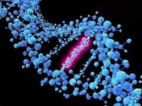 Mysterious circular DNA linked to pediatric cancer: Study - Jammu ...