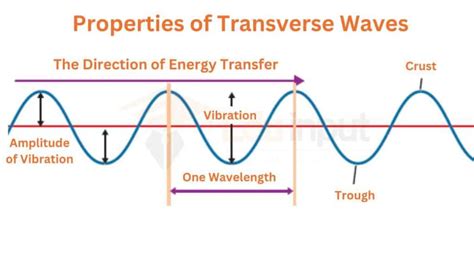 Transverse Waves-Examples, Diagram, And Properties