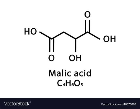 Malic acid molecular structure acid Royalty Free Vector