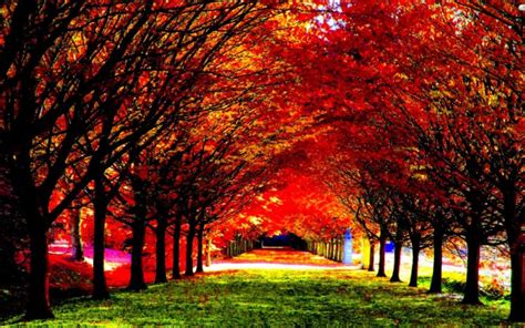 autumn, Fall, Season, Nature, Landscape, Leaf, Leaves, Color, Seasons ...