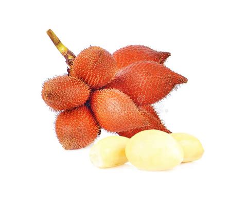 Salacca or Zalacca Tropical Fruit Stock Photo - Image of sala, healthy ...