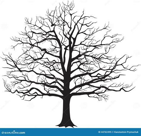 Black Silhouette Bare Tree . Vector Illustration Stock Vector - Image ...