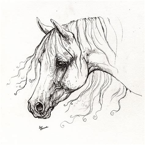 The Arabian Horse Portrait Pen Drawing - Etsy