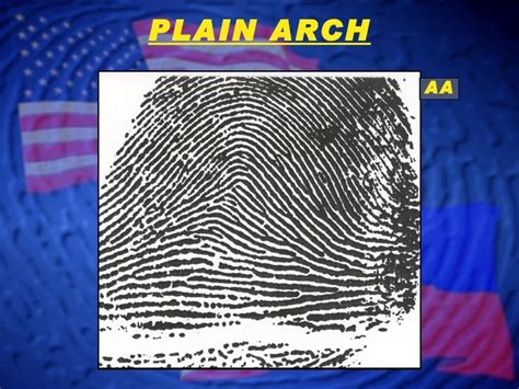 Fingerprint Classification - Arch Patterns