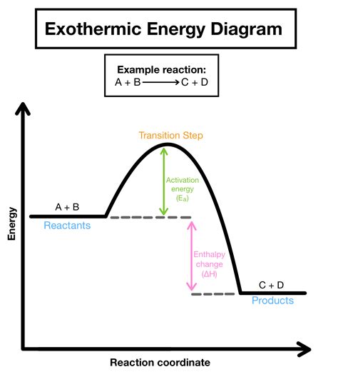 Exothermic And Endothermic Reaction Diagram Diagram Media | Images and ...