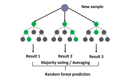 Interpreting Random Forests. Comprehensive guide on Random Forest… | by ...