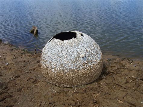 Debris From Space Shuttle Columbia Disaster Found in Texas | Space