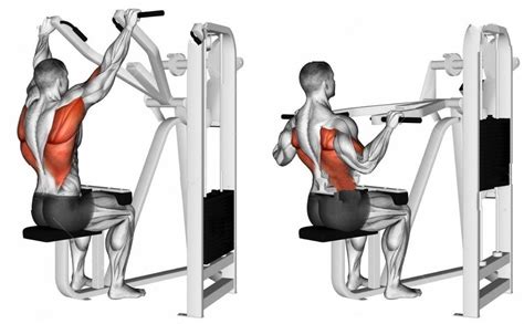 Machine Lat Pulldown Exercise • Bodybuilding Wizard