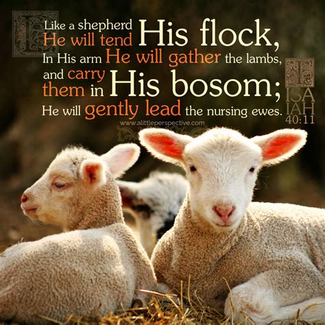 Pin by Jim Suttle on Bible pics | Scripture pictures, Scripture ...