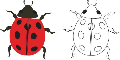 Ladybird Vector Art, Icons, and Graphics for Free Download