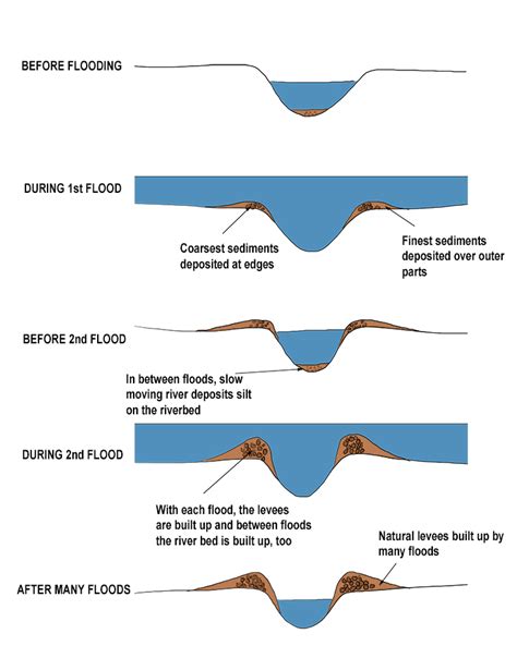 Natural Levee Diagram