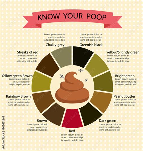 Poop Stool Color Changes Color Chart and Meaning, Healthy Concept Stock ...