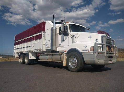 KENWORTH. T404, Livestock Transport Truck. Australia. | Kenworth ...