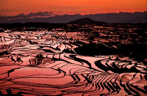 Reflections in rice terraces - Jim Zuckerman photography & photo tours