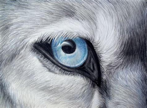 Wolf Eyes Painting