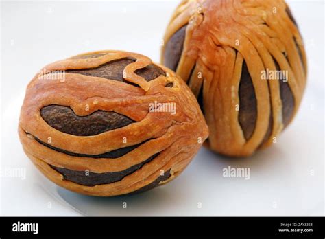 Nutmeg in seed coat Stock Photo - Alamy