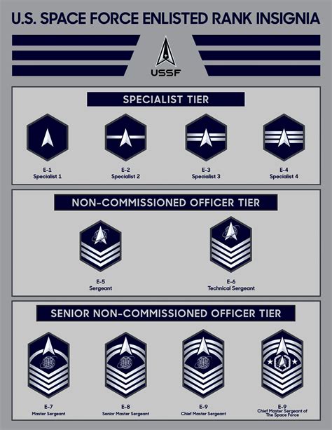 Space Force Reveals Insignia for Enlisted Ranks | Air & Space Forces ...