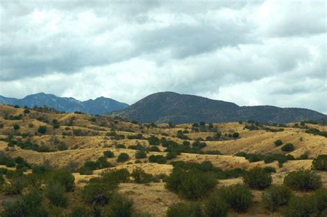 Sonoita Vineyards - Tucson, United States | Gray Line