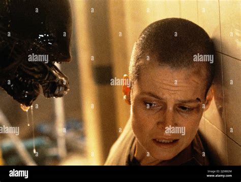 SIGOURNEY WEAVER, ALIEN 3, 1992 Stock Photo - Alamy