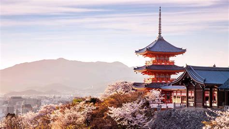 Cherry Blossoms in Kyoto: 14 Best Places to See Sakura