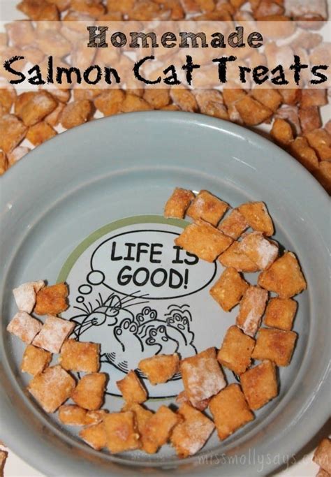 Homemade Salmon Cat Treats Recipe - Miss Molly Says