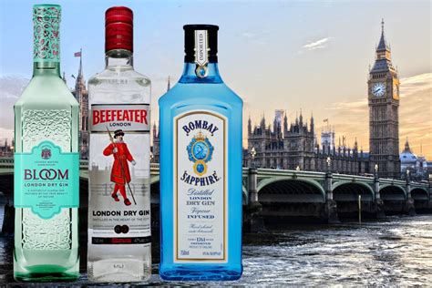 10 London Dry Gins For The Perfect G&T | Drinks Geek