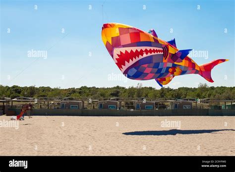 Big, colorful shark kite flying over the beach of camping Vittoria ...