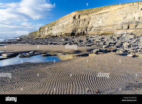 Carboniferous limestone cliffs of Southerndown Beach or Dunraven Bay ...