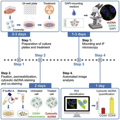 Cell Press: STAR Protocols