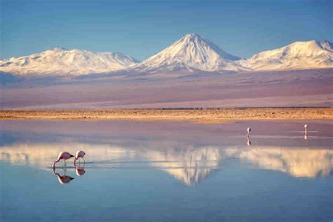 Ruta de Los Salares – San Pedro de Atacama – Agencia Tour Connection SpA.