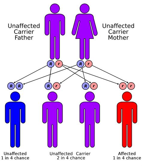 Who Are The Fugate Family and Why Are They Blue? - Facts.net