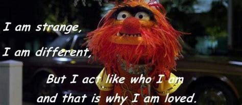 Quotes about Muppet (71 quotes)