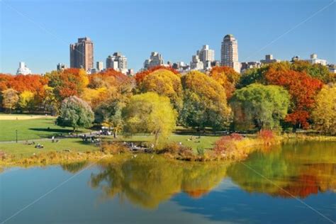 Central Park Autumn – Songquan Photography