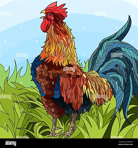 illustration of a rooster crowing Stock Photo - Alamy