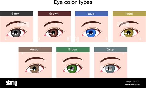 What Color Are Albino Human Eyes