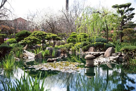 How a Himeji landscape designer rescued Adelaide's 'garden of ...