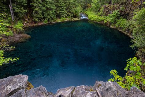 Best Hikes in Willamette National Forest (OR) | Trailhead Traveler