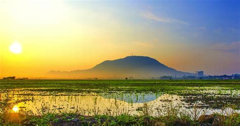 Paddy Field Sunrise Photograph by Chun Liang Huah - Fine Art America