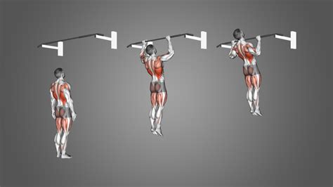 Jumping Pull Ups: Benefits, Muscles Worked, and More (with Pictures ...