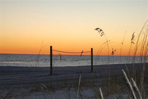 Are Dogs Allowed On Biloxi Beaches