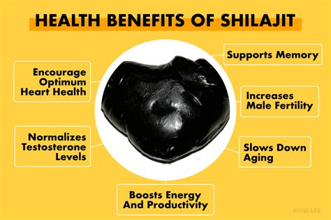 Health Benefits Of Shilajit To Men's Health - Fitneass