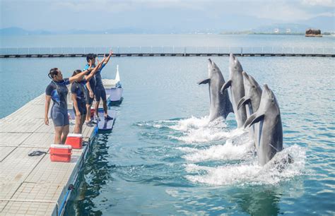 Presentations - Ocean Adventure Subic Bay