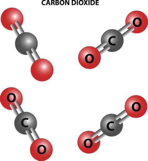 Best Carbon Dioxide Molecule Illustrations, Royalty-Free Vector ...