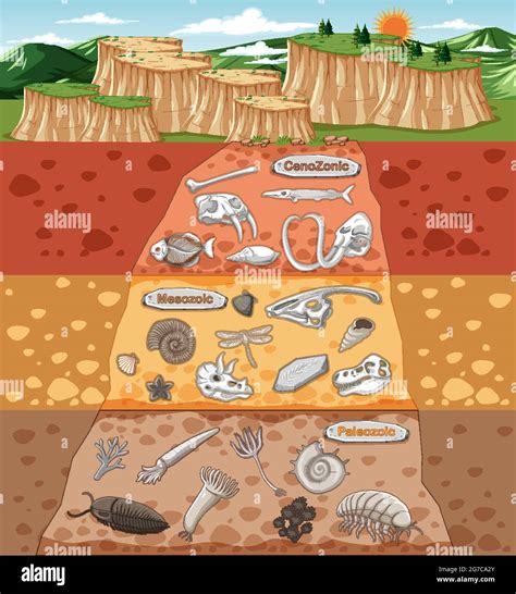 Scene with various animals bones and dinosaurs fossils in soil layers ...