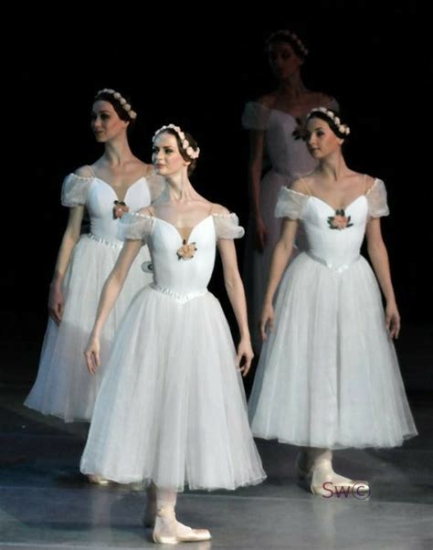 Pin di Amanda Feltham su costumes | Costumi danza, Ballerine classiche ...