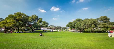 10 Best Things To Do In Dubai Creek Park (in 2024) | GoDubai